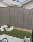 IMG_2367.jpeg