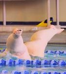 fat lady water ballet.jpg