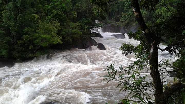 a flooded creek