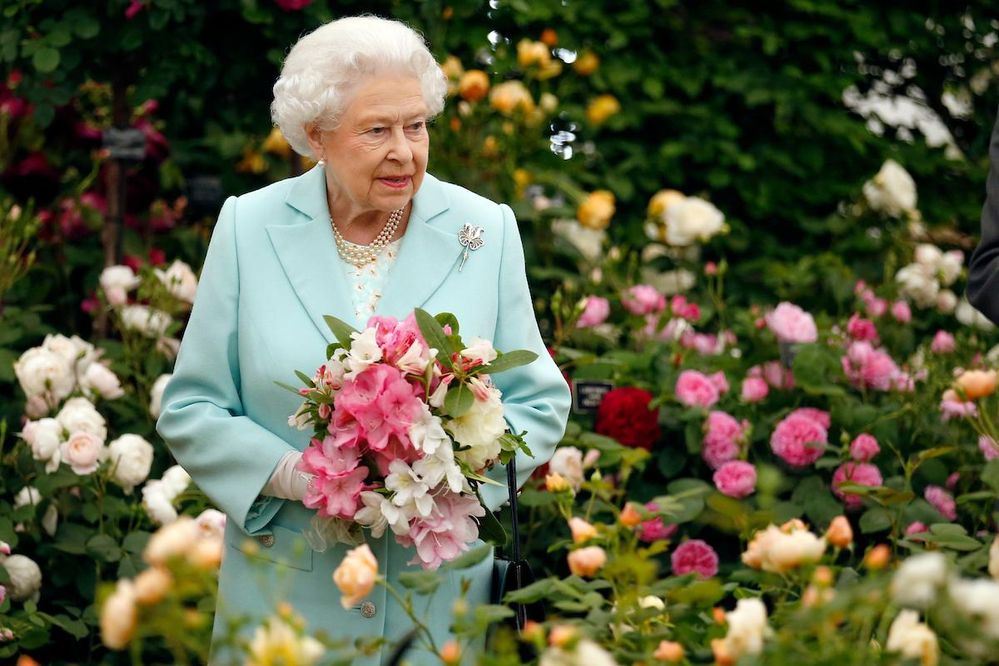 flower queen.jpg