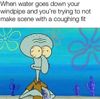 images (9).jpeg