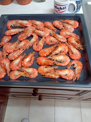 IMG_20220615_143320.jpg