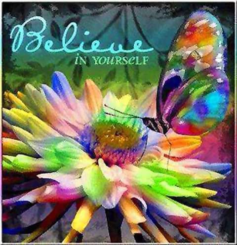 butterfly flower.jpg